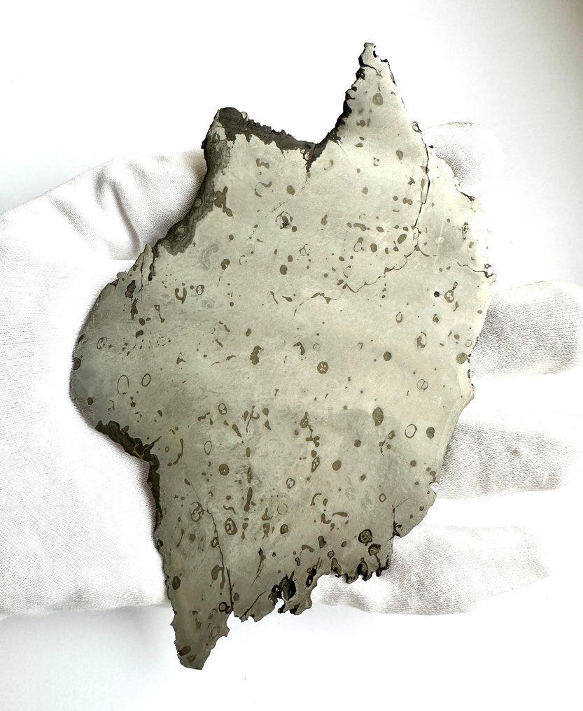 Dronino meteorite Slice - 172 g - (1) #1.0