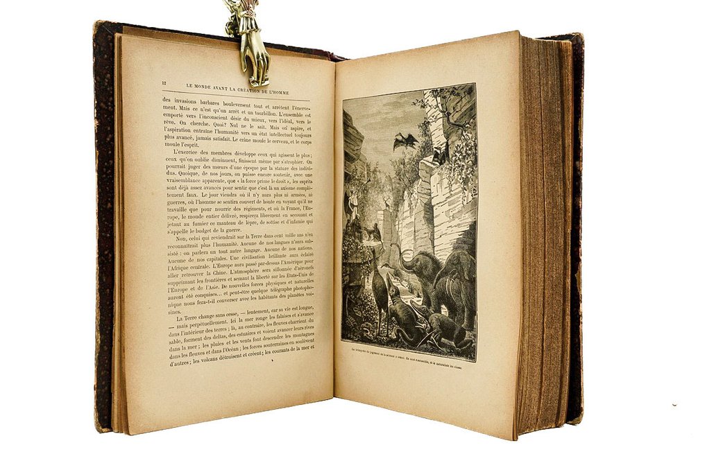 Camille Flammarion - Le monde avant la création de l'homme, Origines de la terre, de la vie, de l'humanité - 1886 #3.2