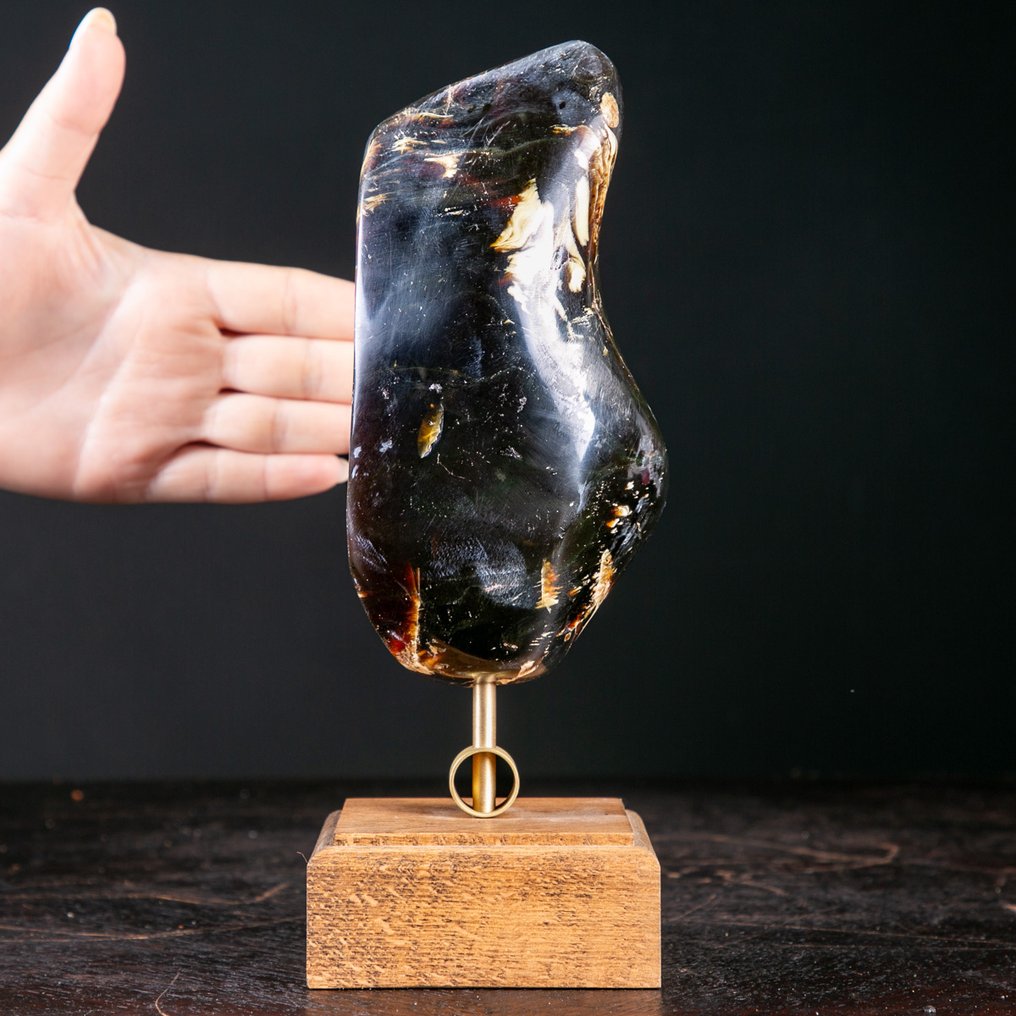 Fossilbärnstenprov från Sumatra - sällsynt prov med enastående färgkontraster - elegant trä - Höjd: 237 mm - Bredd: 87 mm- 696 g #3.2