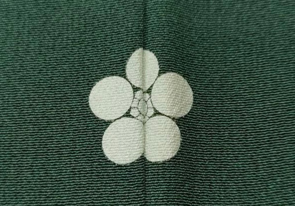 Κιμόνο ■ Ένα όμορφο και υπέροχο Iro Tomesode (Έγχρωμο Κιμόνο) - Μετάξι - Ιαπωνία - 20th century #4.3