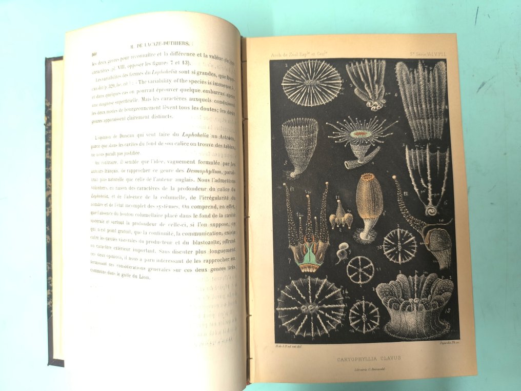 Henri de Lagaze-Duthiers - Archives de Zoologie expérimental et générale - 1892-1900 #2.1