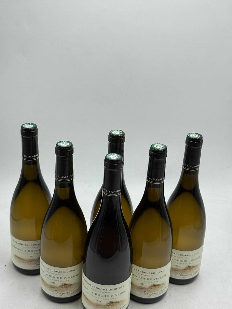 2023 Domaine Sangouard-Guyot Mâcon-La Roche Vineuse Clos de la Bressande - Mâconnais - 6 Bottles (0.75L) #2.1