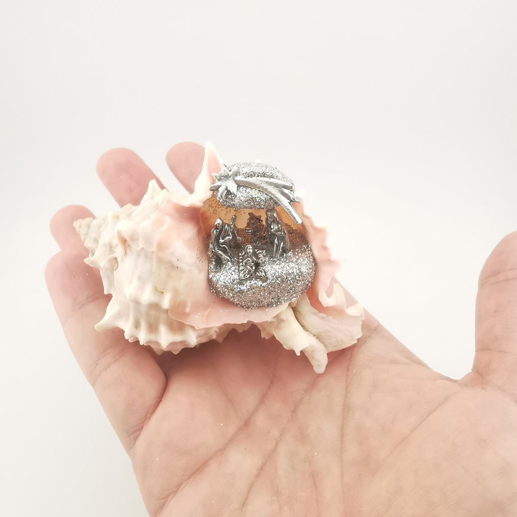 Nativity scene - Shell - Italian craftsmanship #1.0