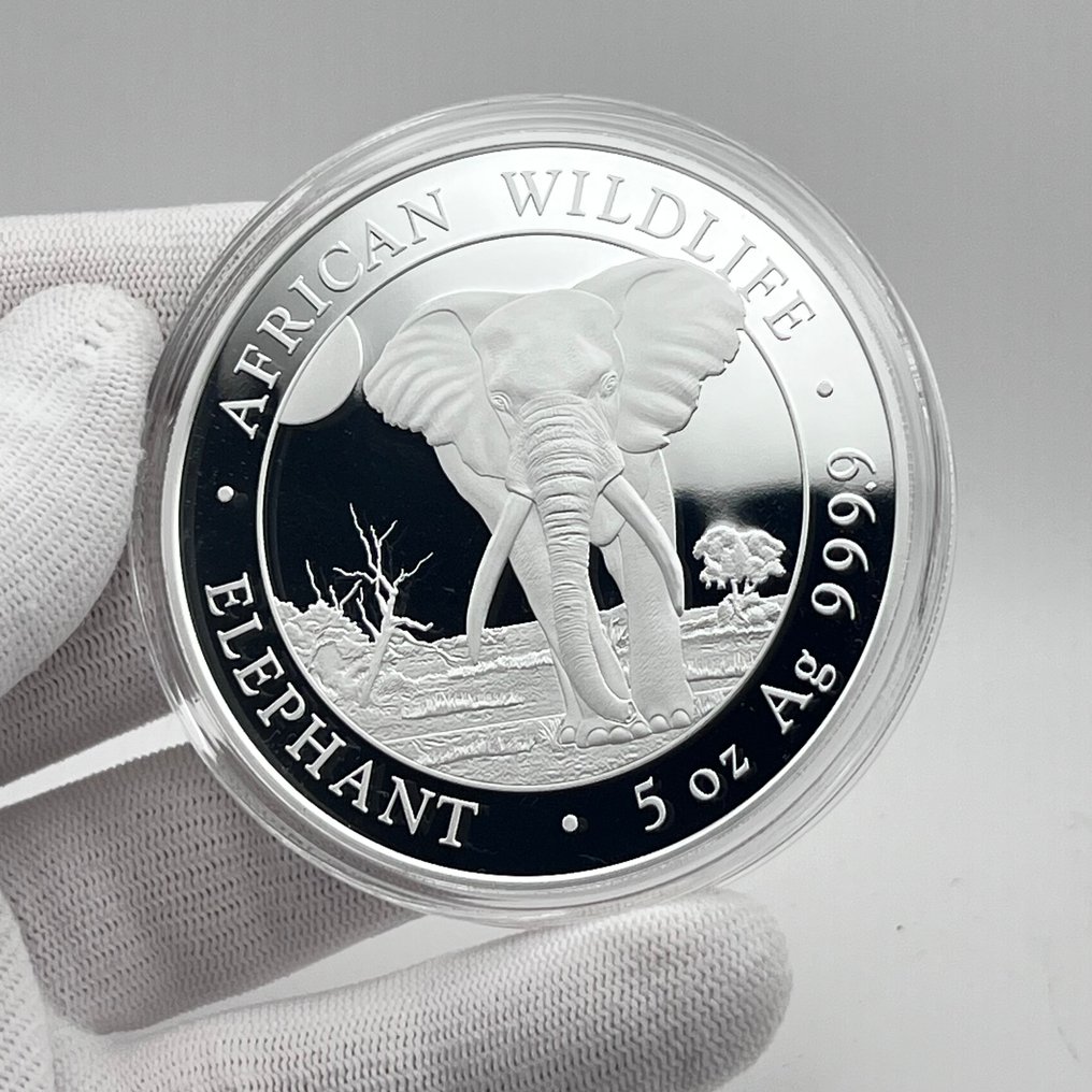 Somália. 100 Shillings 2025 – 5 oz African Wildlife – Elephant – Silver Coin .9999 – BU #1.0