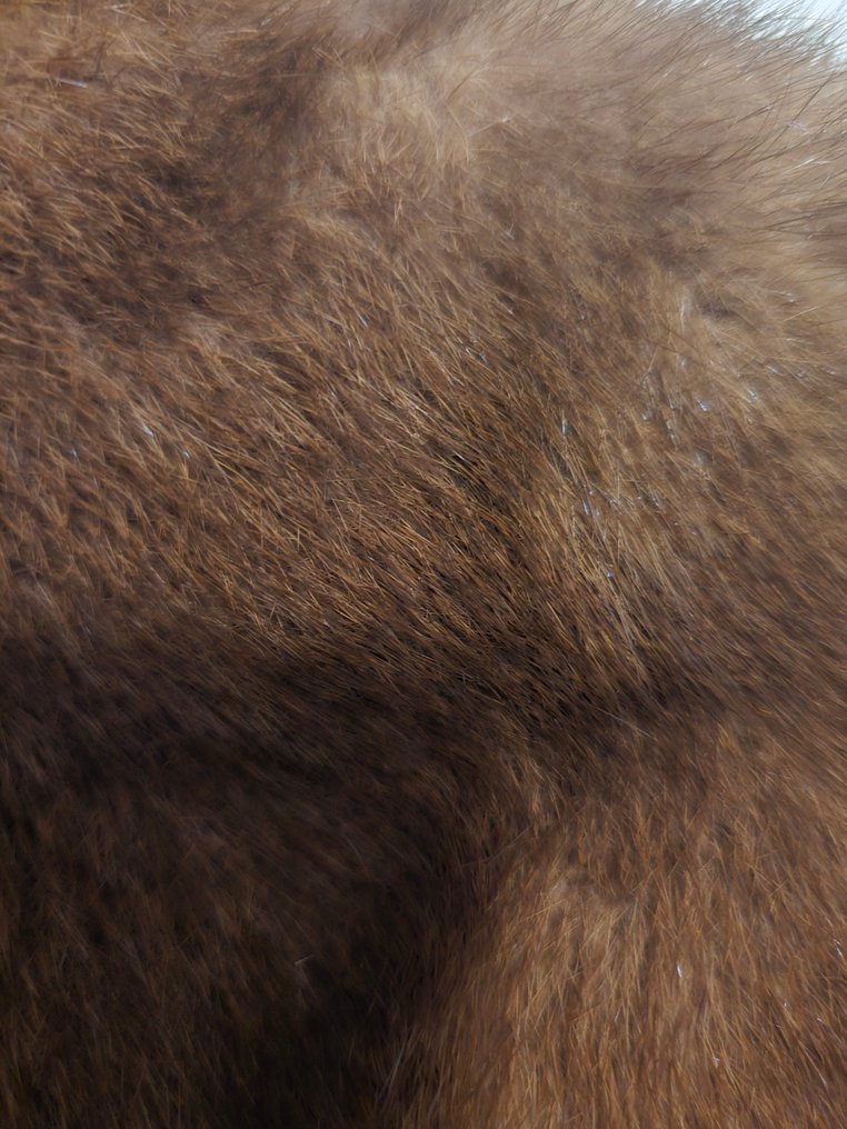 Other brand, Artisan Furrier - 皮毛大衣 #2.1