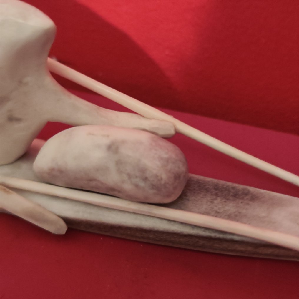 Oumiak inuit, Tupilak - Oumiak Tupilak - Inuit - Groenland #3.2