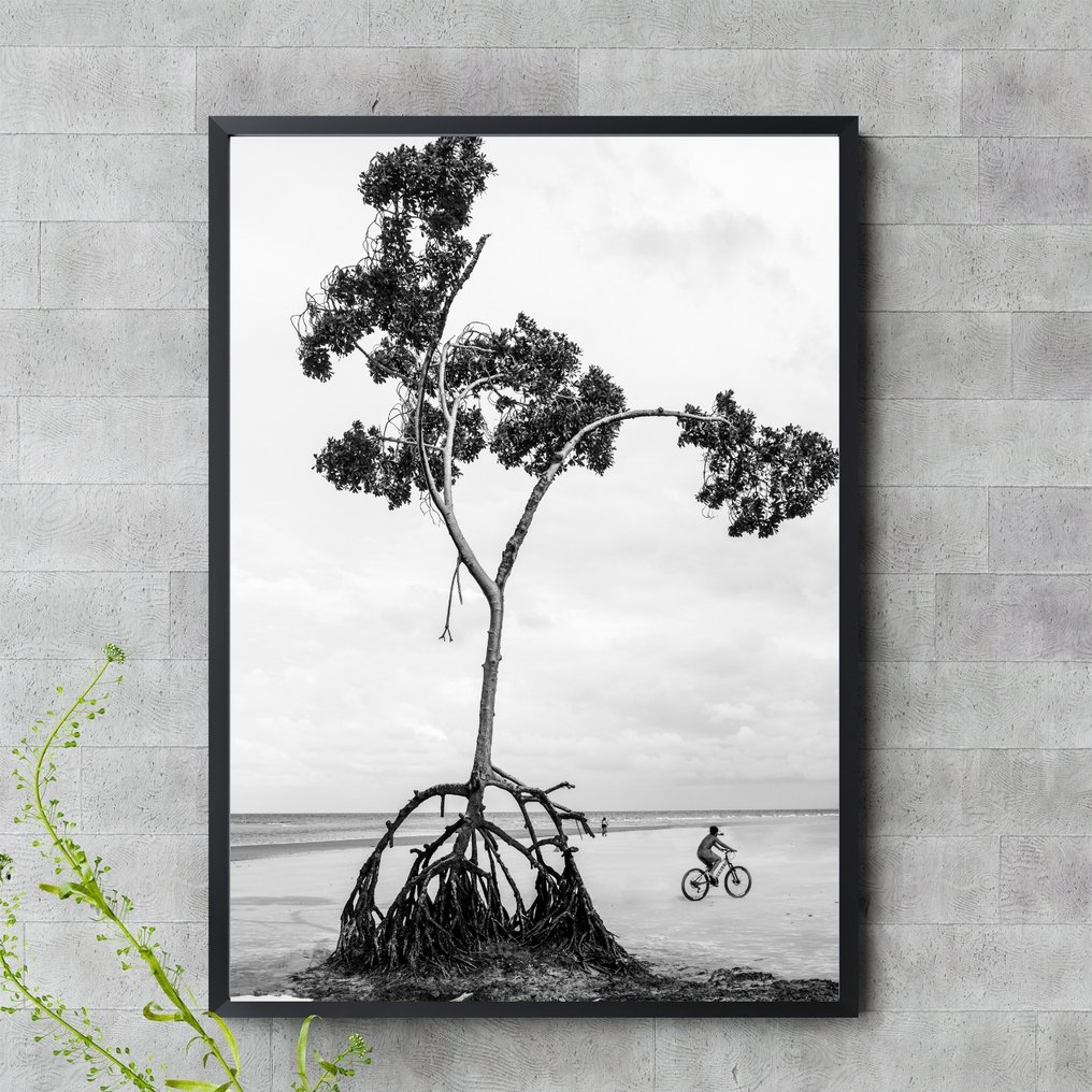 Gilliard Bressan - Mangrove Tree - XL #3.2