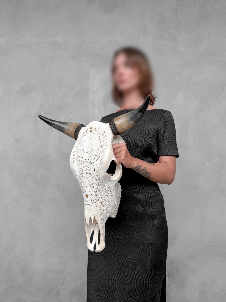 NO RESERVE PRICE - Authentic White Hand-Carved Bull Skull - Flower Mandala Motif- Carved skull - Bos Taurus - 54 cm - 52 cm - 18 cm- Non-CITES species -  (1) #3.2