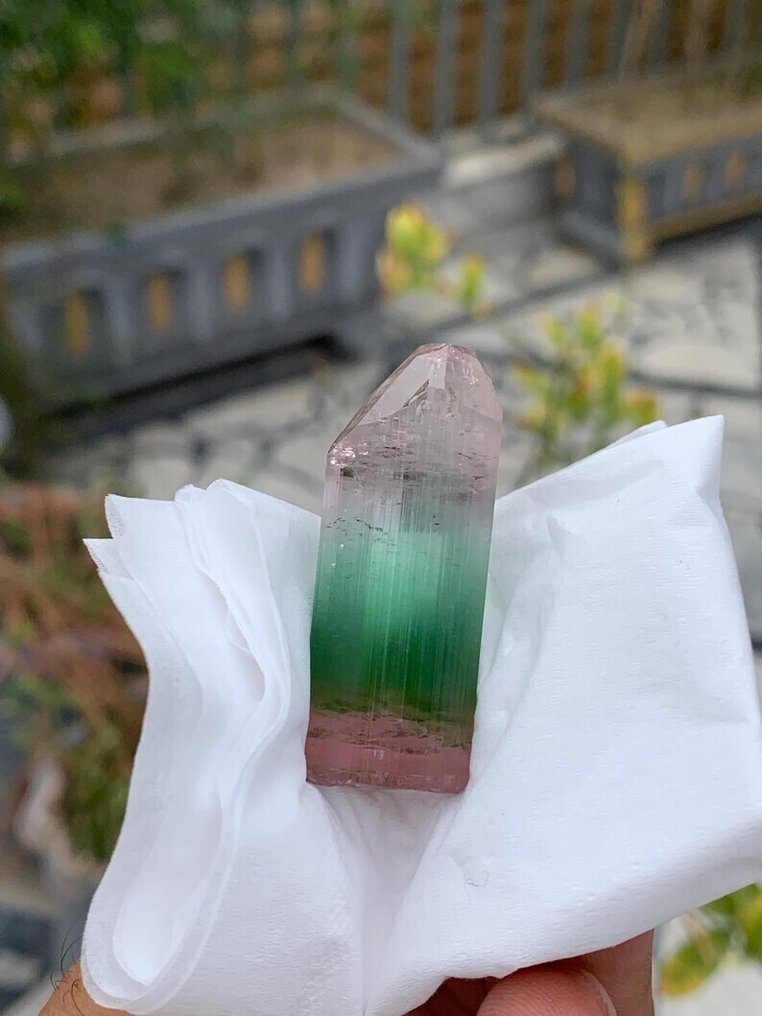 粉色蓝绿色与浅粉色三色电气石终止的埃尔拜石 水晶 - 高度: 4.3 cm - 宽度: 1.4 cm- 18 g #2.1