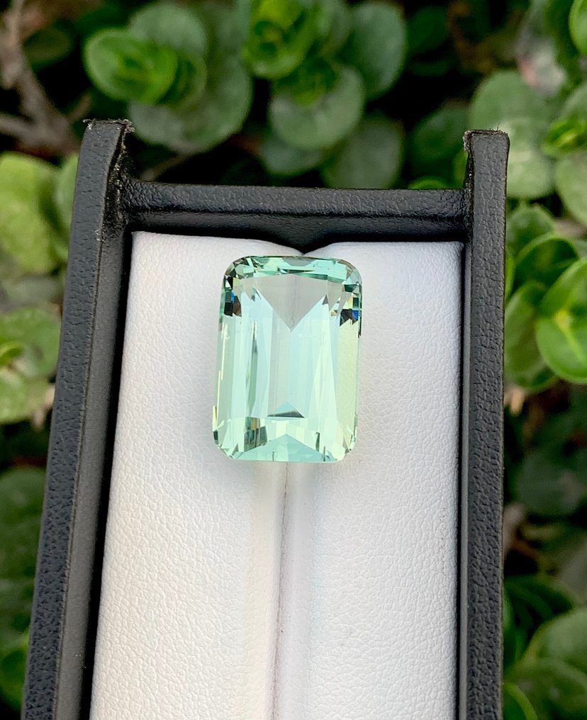 没有保留价 绿柱石 - 20.29 ct - 国际有色宝石协会(ICA GemLab) #1.0