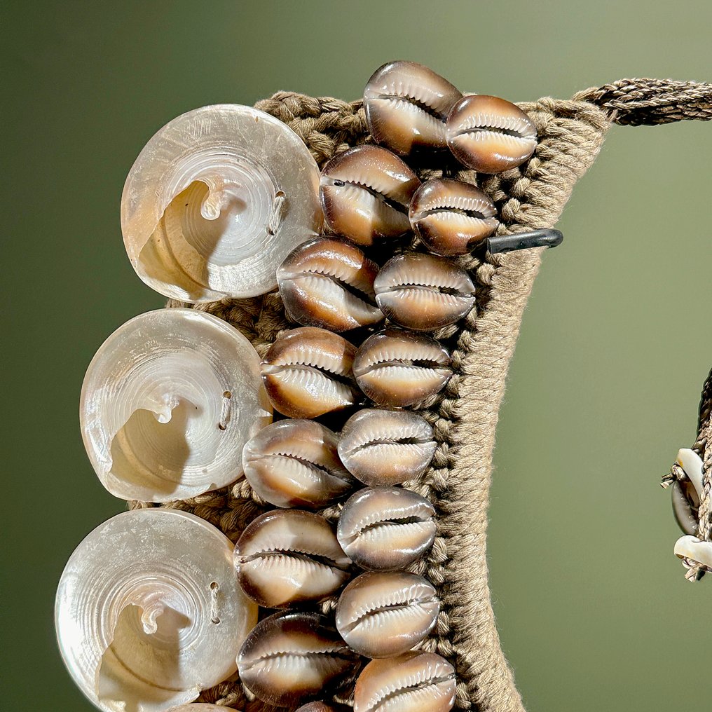 Zierornament - NO RESERVE PRICE - SN20 - Decorative shell necklace on a custom stand - Papua Neuguinea #4.3