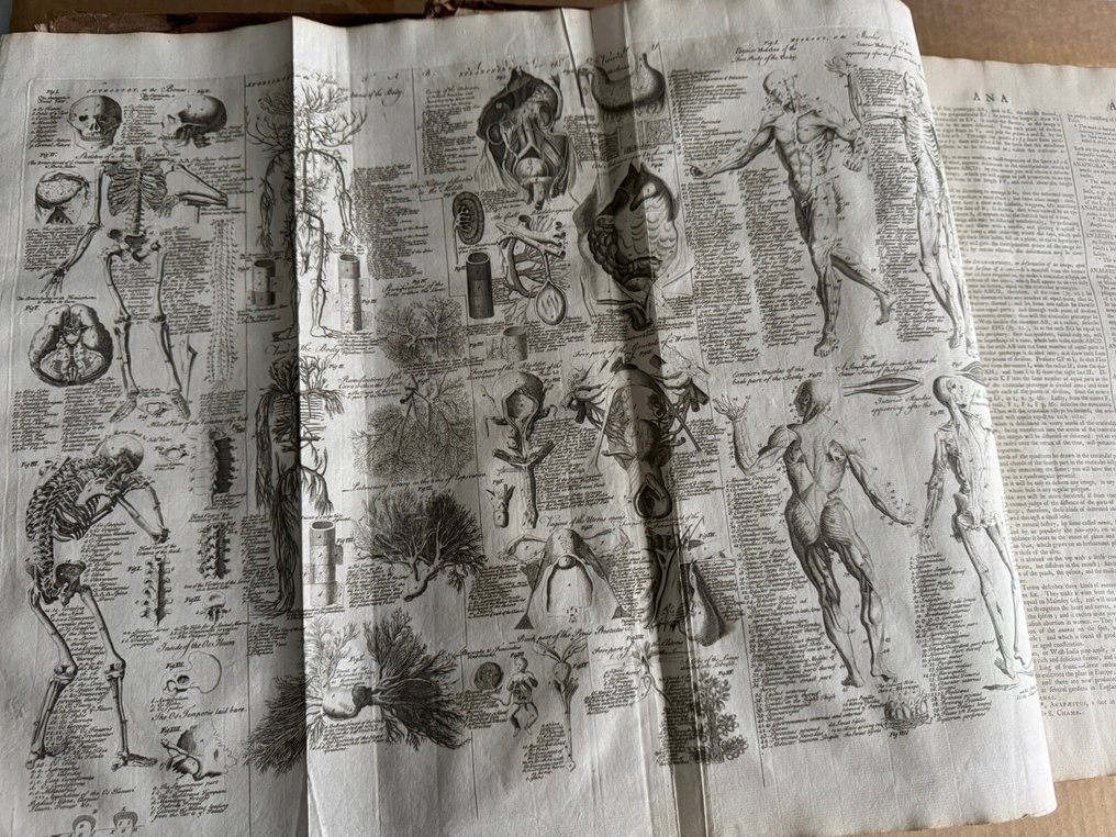 Ephraim Chambers, F.R.S. - Cyclopaedia or, an universal dictionary - 1751 #4.3