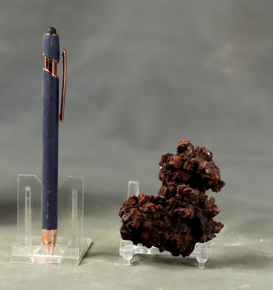 cacca di dinosauro fossilizzata - Animale fossilizzato - Coprolite - 7.5 cm - 4.1 cm  (Senza Prezzo di Riserva) #4.3