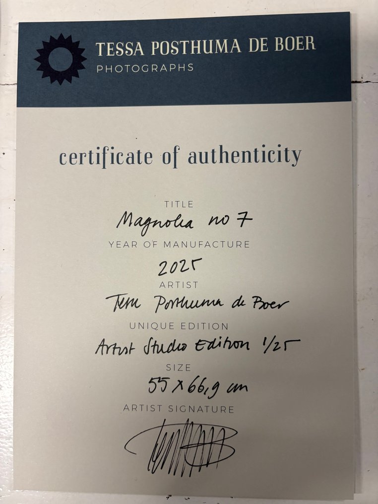 Tessa Posthuma de Boer - Magnolia no.7 (XL) #1.0