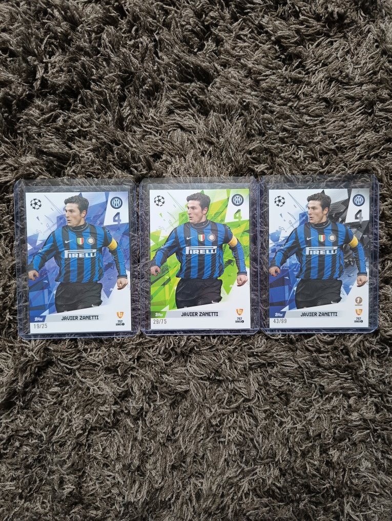 Panini, topps Javier Zanetti. - 47 Card - 全新 (M) #1.0