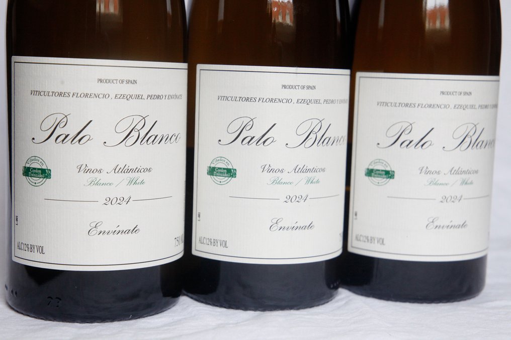 2024 Envinate, Palo Blanco - 特内里费，加那利群岛 - 3 Bottles (0.75L) #1.0