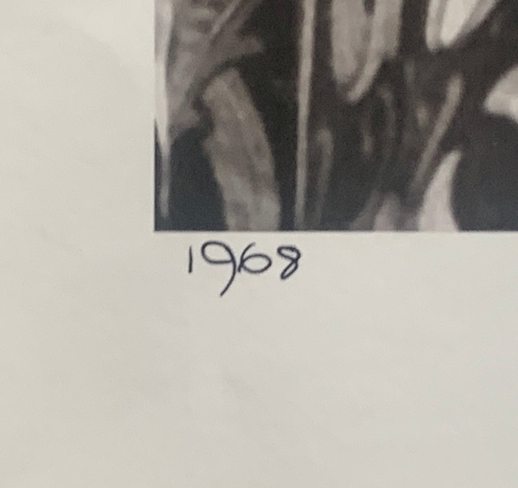 Bill Zygmant - George Harrison – 1968 – Original signed by the photographer - Large Format #3.2