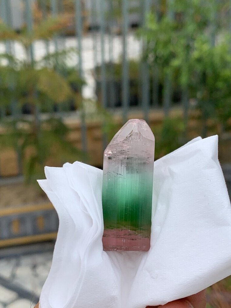 粉色蓝绿色与浅粉色三色电气石终止的埃尔拜石 水晶 - 高度: 4.3 cm - 宽度: 1.4 cm- 18 g #1.0