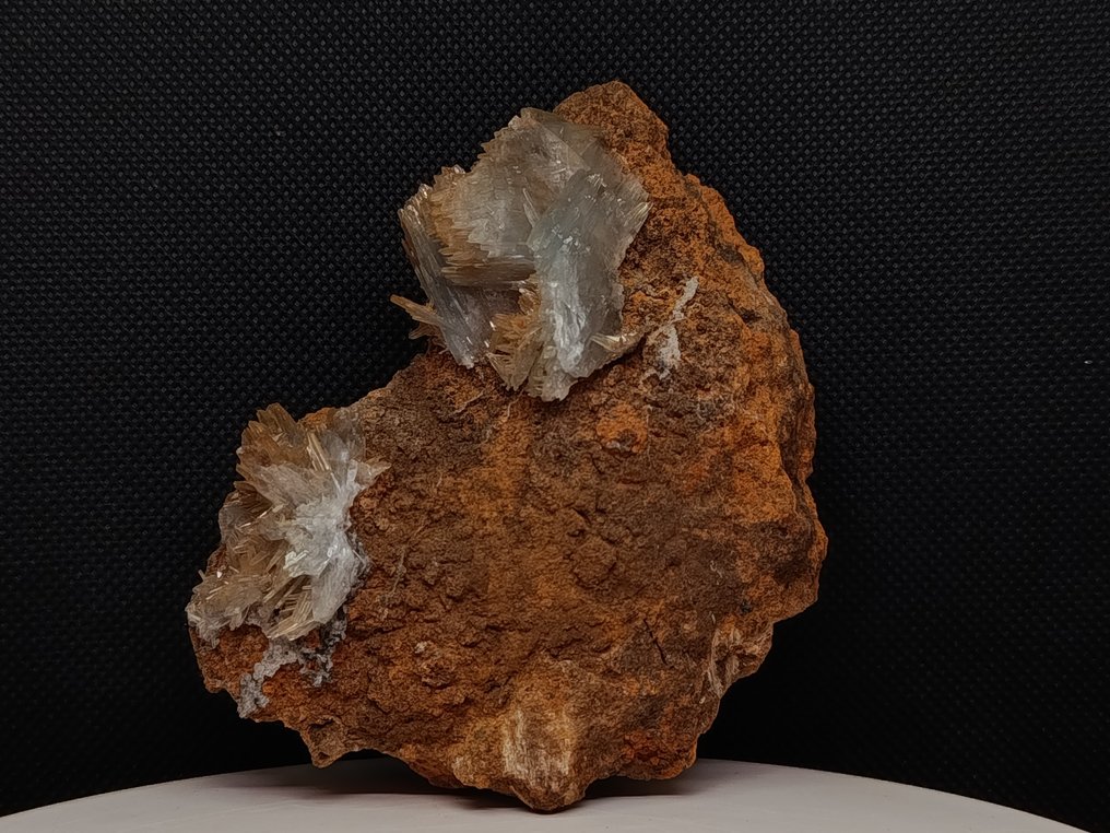 Barite Cristalli su matrice - Altezza: 3.3 cm - Larghezza: 10 cm- 219 g - (1) #1.0