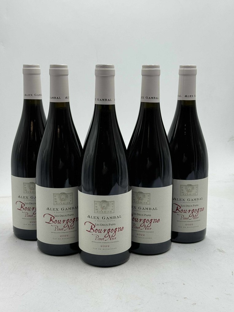2022 Alex Gambal Bourgogne Pinot Noir Les Deux Papis - 勃艮第 - 6 Bottles (0.75L) #1.0