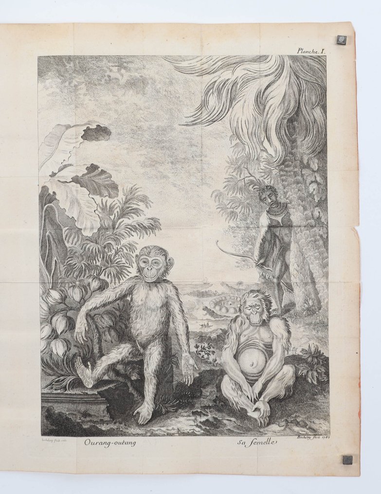 Claude-Nicolas Le Cat - Traité de l’existence, de la nature et des propriétés du fluide des nerfs - 1765 #1.0
