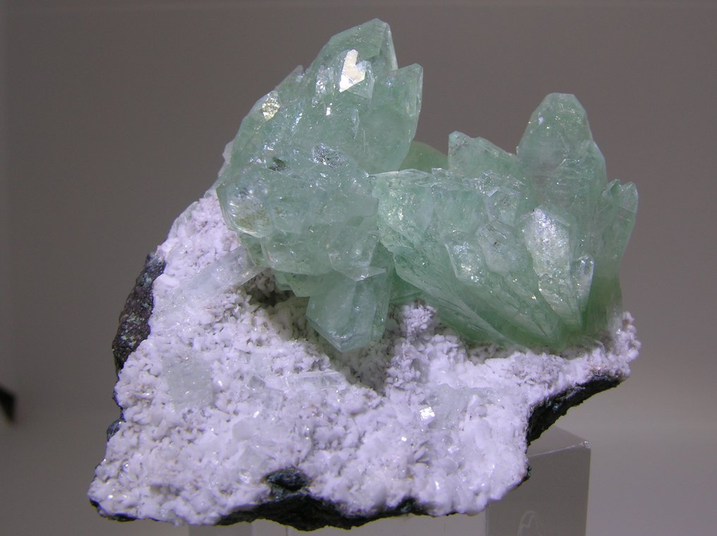 Apophyllite 水晶在矩陣上 - 高度: 80 mm - 闊度: 60 mm- 154.7 g - (1) #1.0