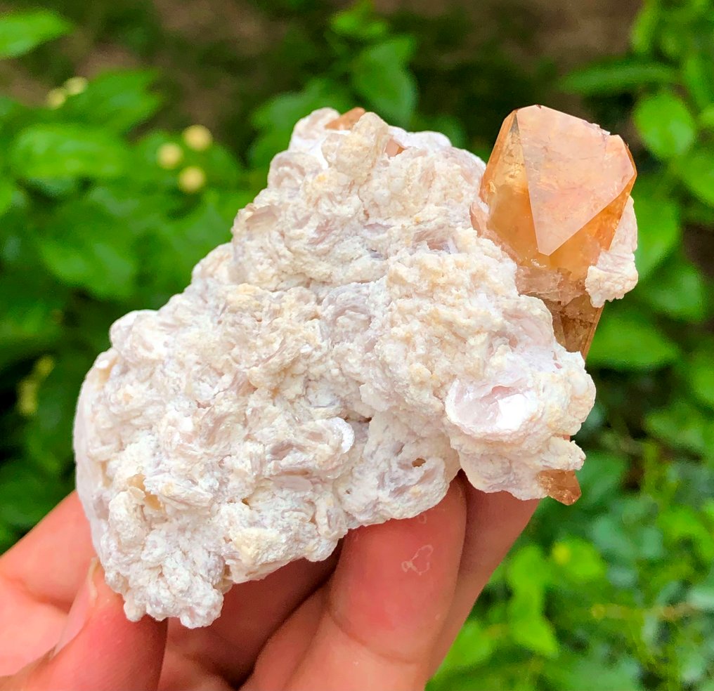 No Reserve Price Topaz Crystal Specimen with Flower Shape Lepedolite Mica Crystal on matrix - Height: 97 mm - Width: 68 mm- 179 g - (1) #4.3