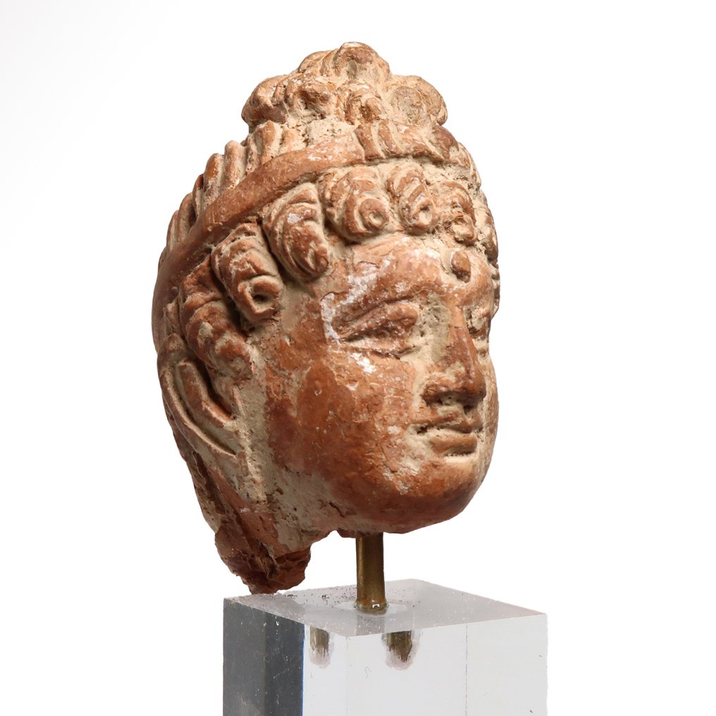 Gandhara Terracotta Testa del giovane Buddha #2.1