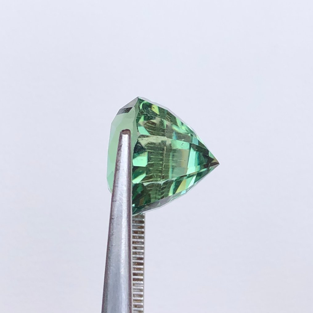 χωρίς τιμή ασφαλείας - 1 pcs Πράσινο, Μπλε Σποδουμένιο, Ιδενίτης - 9.81 ct - International Gemological Institute (IGI) #3.2