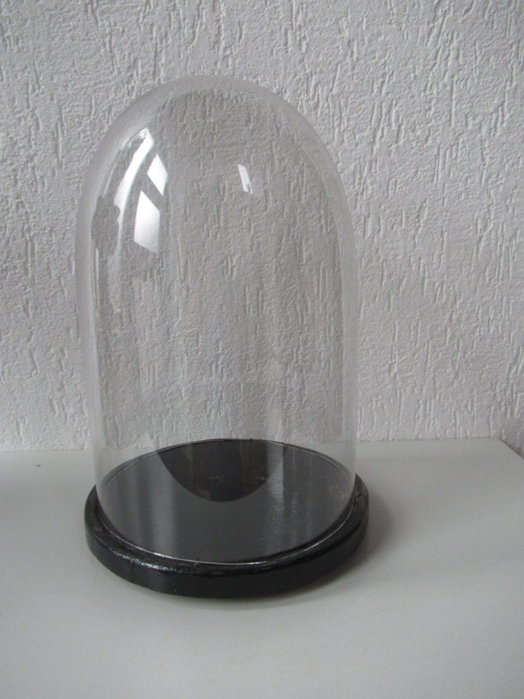 Glaskupa - Glas och trä - 1900-1910 #1.0