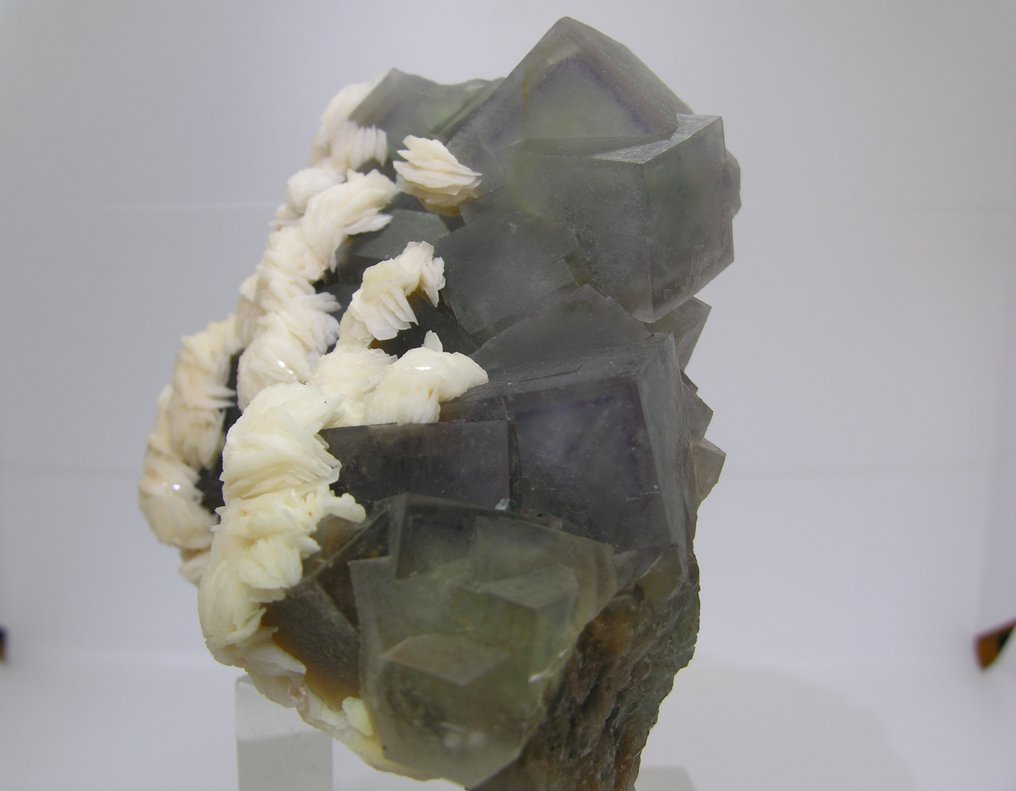 Fluoryt Kryształ na matrixie - Wysokość: 12 cm - Szerokość: 9 cm- 900 g - (1) #3.2