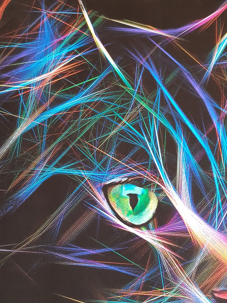 Lea Roche - Zorba Flash, Cat #3.2