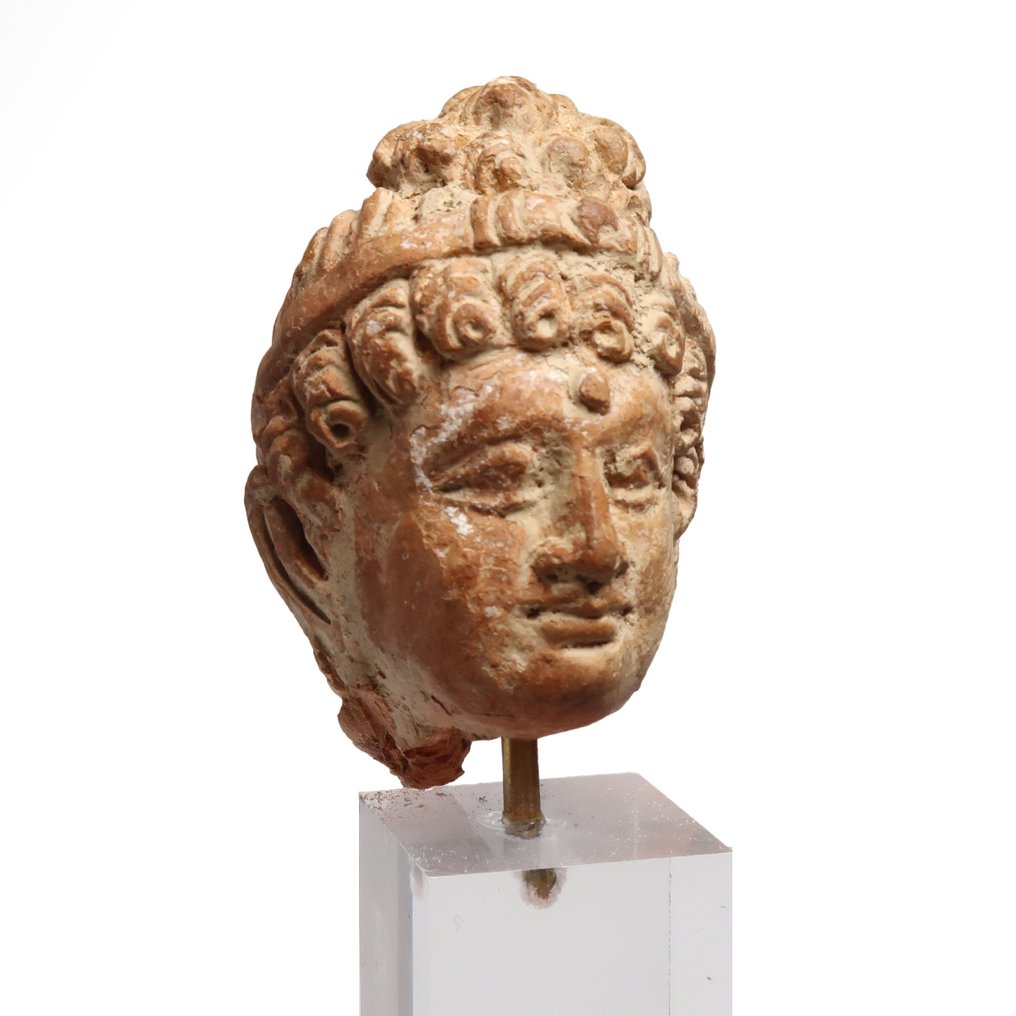 Gandhara Terracotta Testa del giovane Buddha #1.0