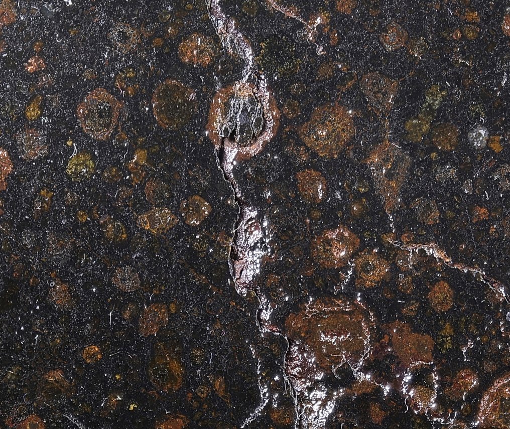 Meteorite NWA 6368 - chondrite carbonaceous CV3 Jó darab. - 20.3 g - (1) #2.1