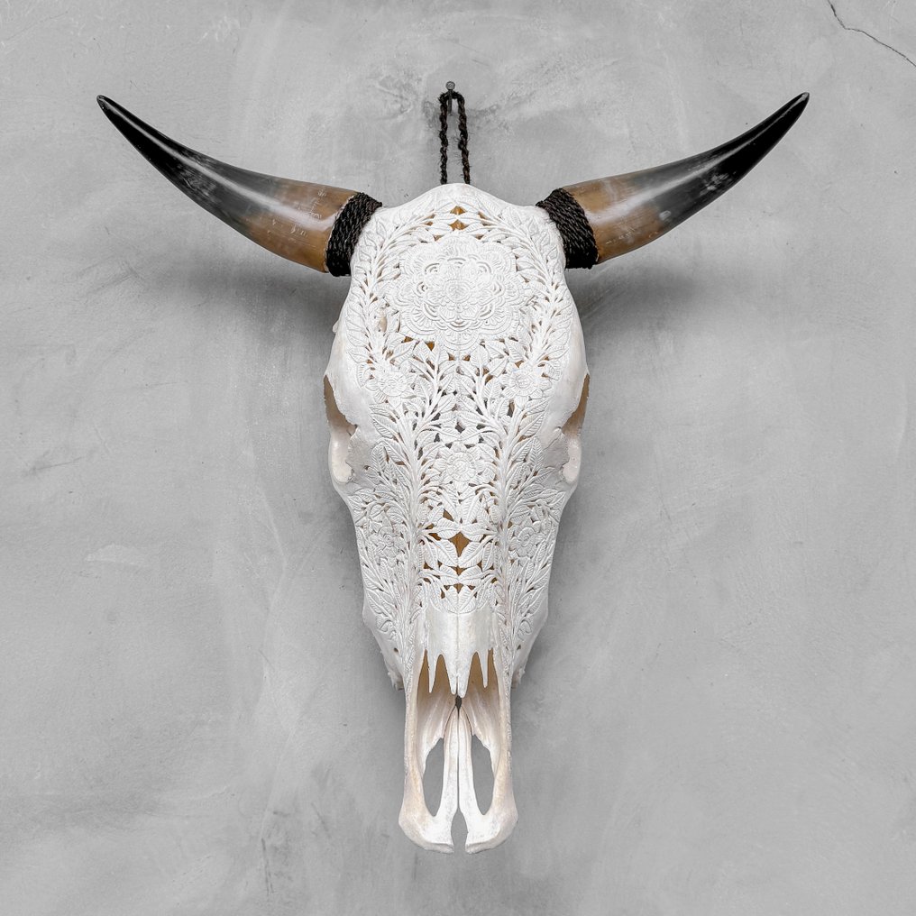 NO RESERVE PRICE - Authentic White Hand-Carved Bull Skull - Flower Mandala Motif- Carved skull - Bos Taurus - 54 cm - 52 cm - 18 cm- Non-CITES species -  (1) #2.1