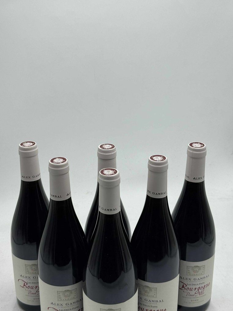2022 Alex Gambal Bourgogne Pinot Noir Les Deux Papis - 勃艮第 - 6 Bottles (0.75L) #3.2