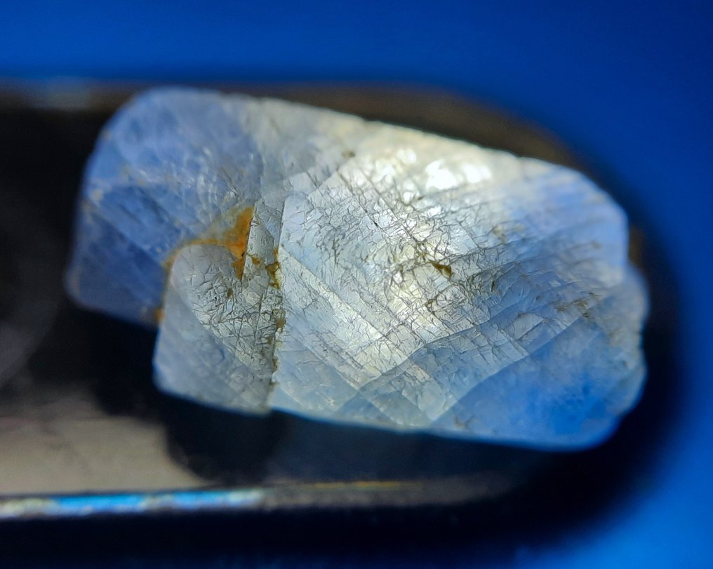 100.7 克拉 - 未处理蓝宝石 粗糙- 20.1 g #1.0