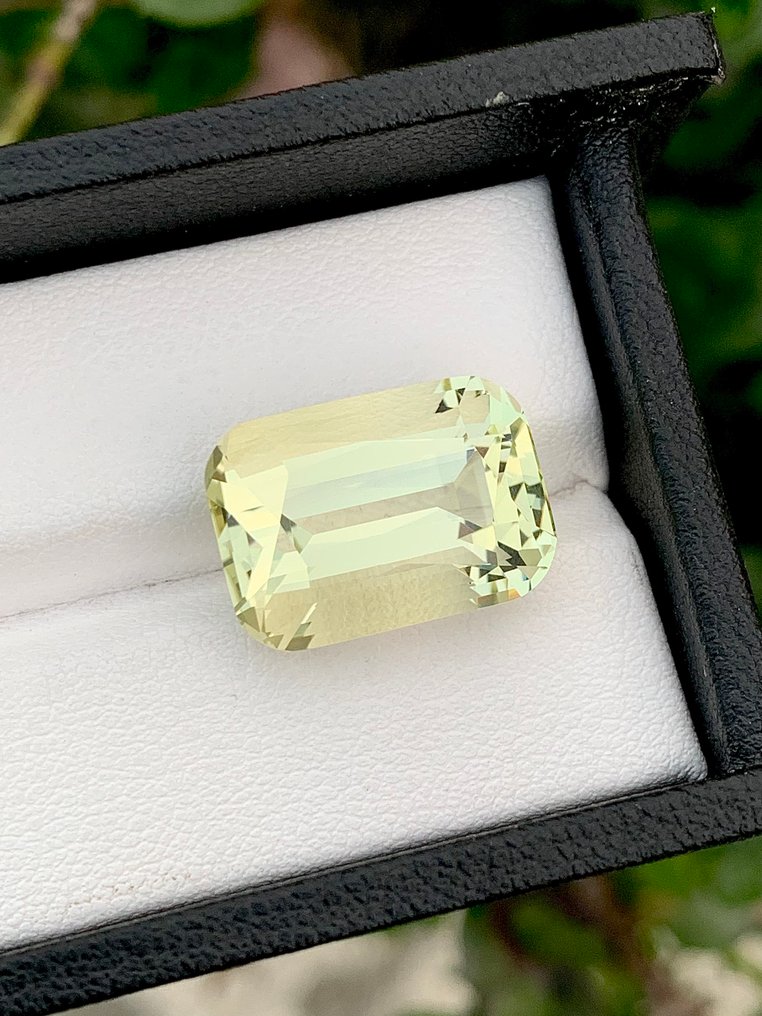 没有保留价 金绿柱石  - 13.21 ct - 国际有色宝石协会（ICA GemLab） #2.1