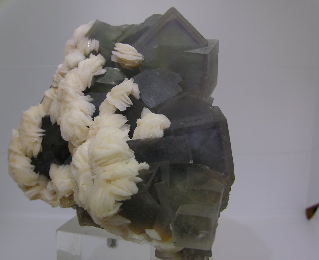 Fluoryt Kryształ na matrixie - Wysokość: 12 cm - Szerokość: 9 cm- 900 g - (1) #4.3