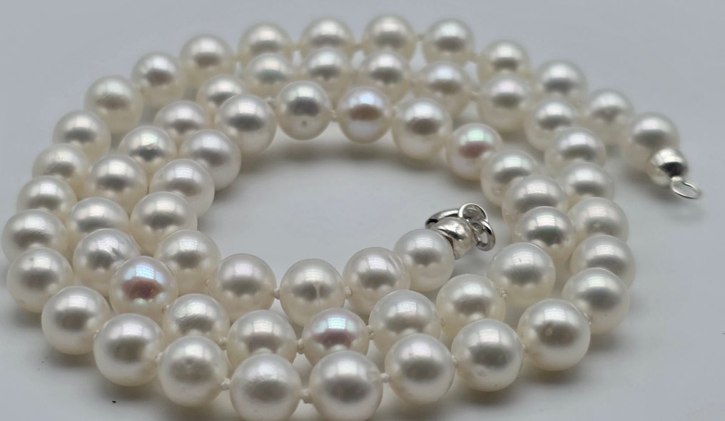 沒有保留價 - 頸鏈 - 18 克拉 白金 珍珠 - 阿科雅珍珠直径为6.2至6.6毫米。 #2.1