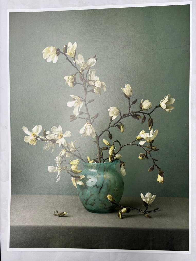 Tessa Posthuma de Boer - Magnolia no.7 (XL) #3.2