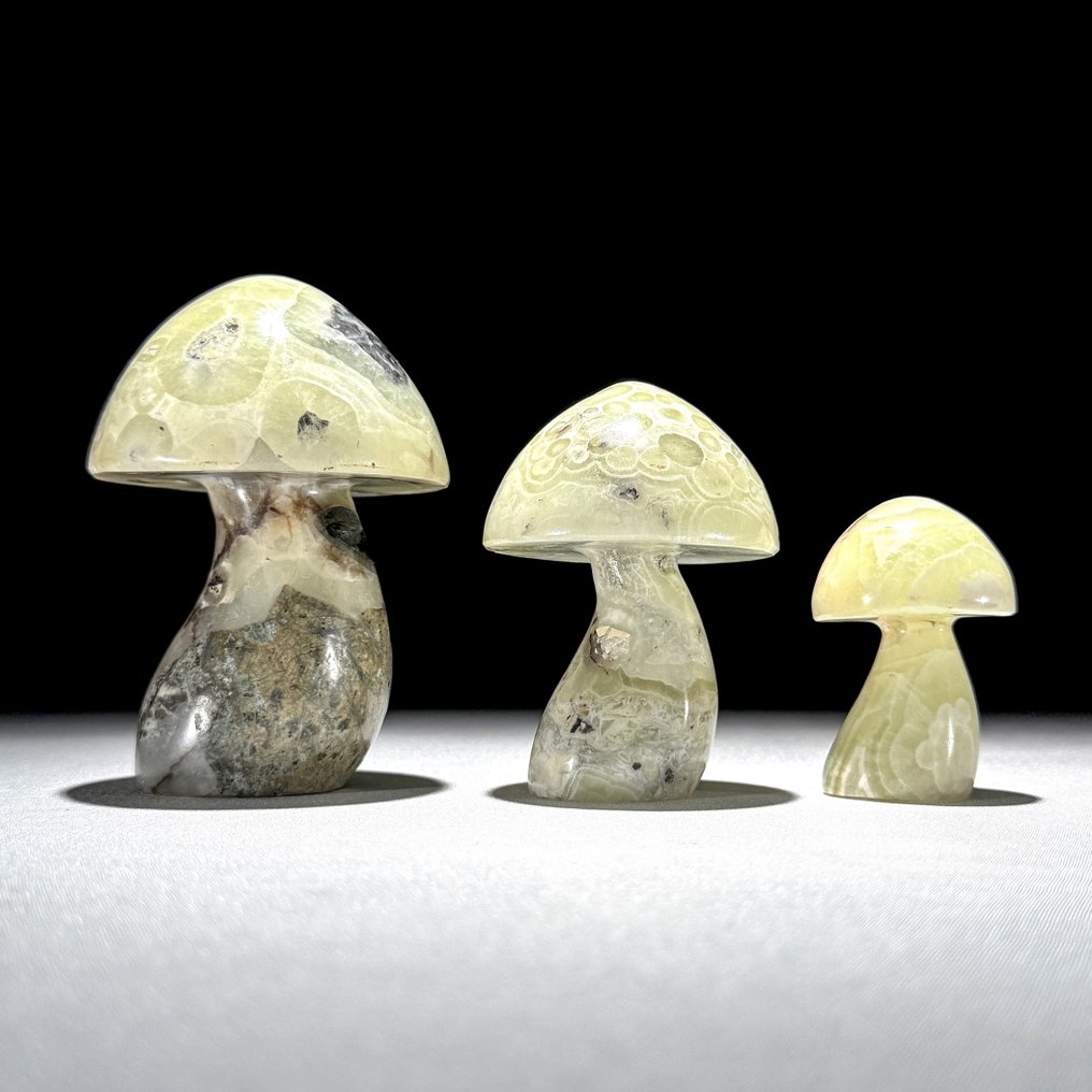 NO RESERVE PRICE - Wonderful Set of 3 Onyx Mushrooms-Shaped- 1000 g - (3) #2.1