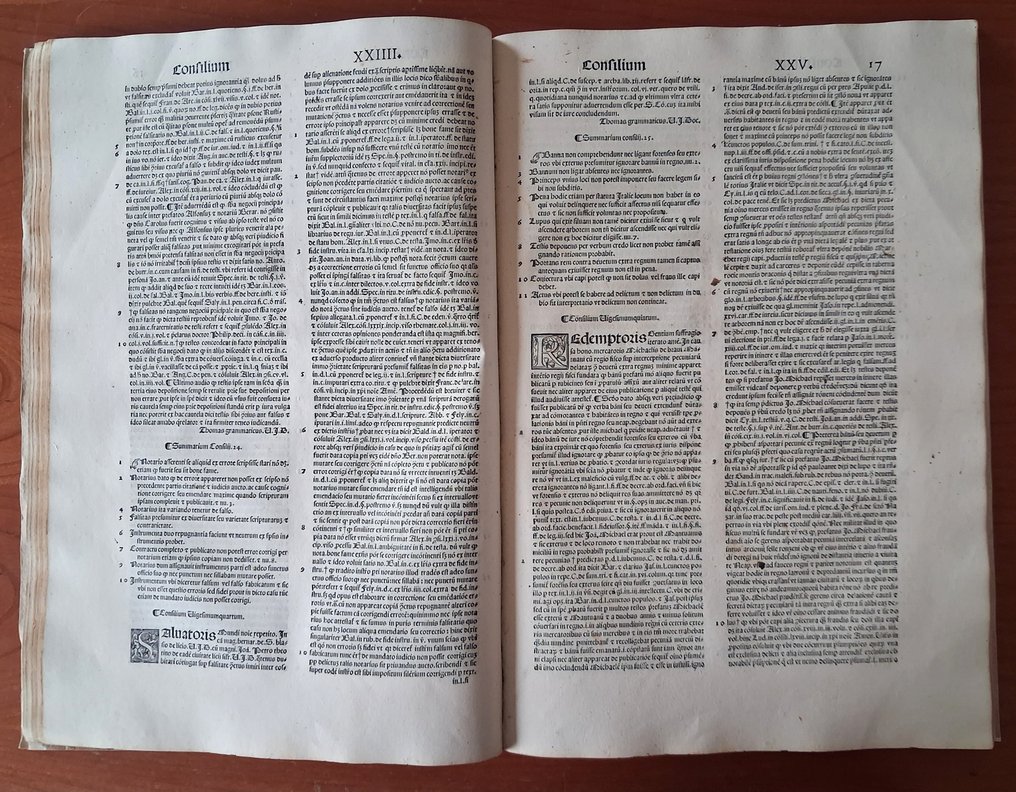 Thomas GRAMMATICUS - Allegationes et Consilia - exceedingly rare - 1542 #4.3