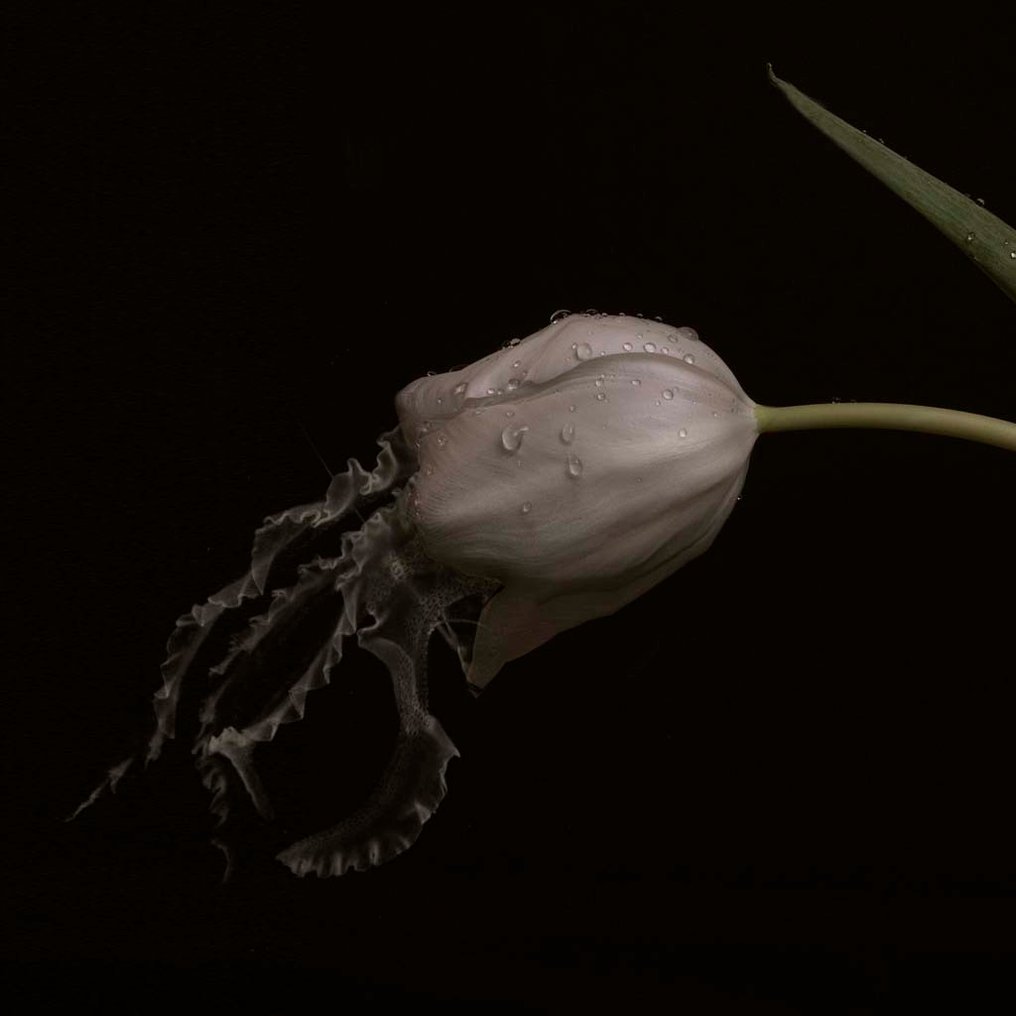 Kaat Stieber - Eat This #4.3