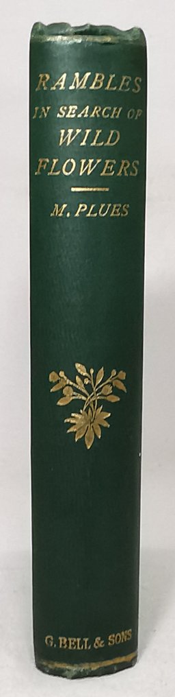 Margaret Plues - Rambles in Search of Wild Flowers (With 16 Coloured Plates) - 1879 #3.2