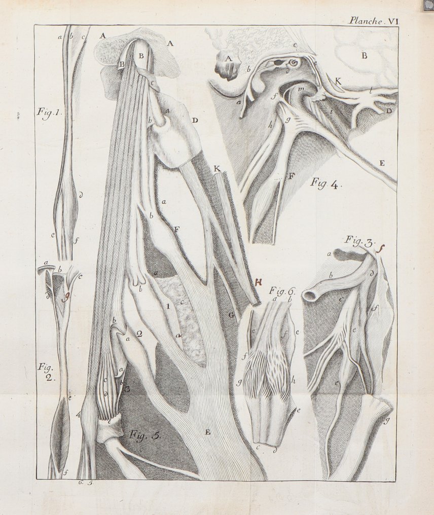 Claude-Nicolas Le Cat - Traité de l’existence, de la nature et des propriétés du fluide des nerfs - 1765 #4.3
