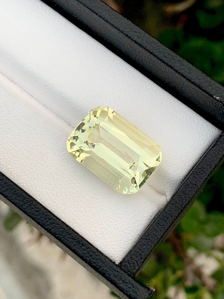 没有保留价 金绿柱石  - 13.21 ct - 国际有色宝石协会（ICA GemLab） #3.2