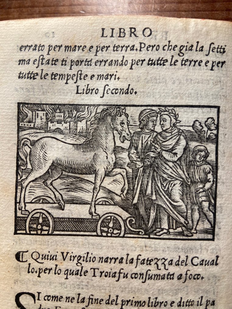 Virgilio Publio Marone - Virgilio volgare qual narra le aspre battaglie & li fatti di Enea nuouamente historiato - 1528 #2.1