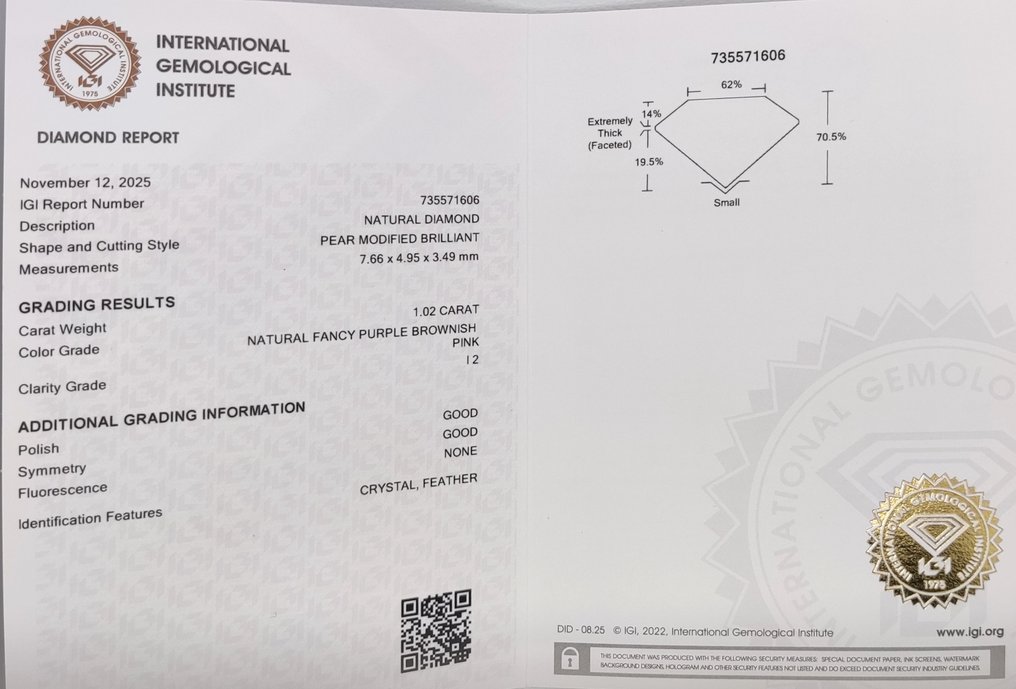 No reserve price - 1 pcs Diamond (Natural coloured) - 1.02 ct - Pear - Fancy Purple, Brownish Pink - I2 - International Gemological Institute (IGI) #2.1