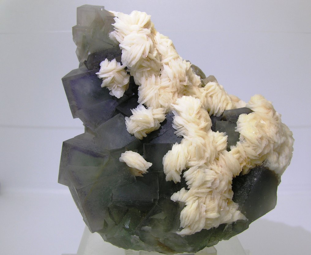 Fluoryt Kryształ na matrixie - Wysokość: 12 cm - Szerokość: 9 cm- 900 g - (1) #1.0